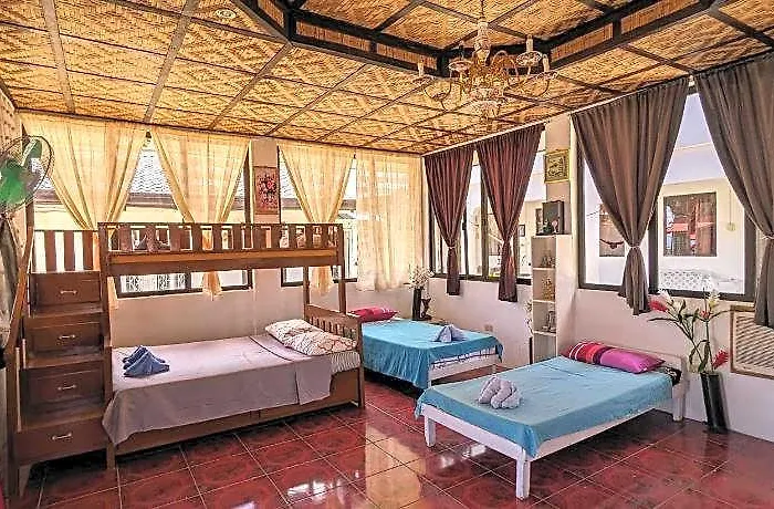 Mdf And Day Tours Near Whalesharks Hotel