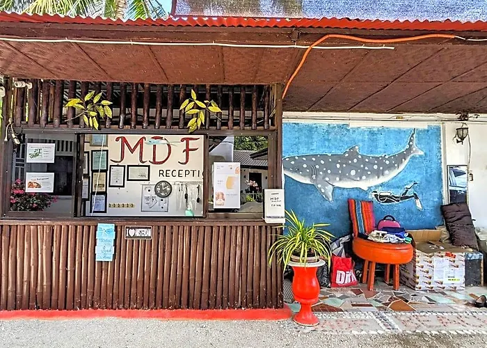 Mdf And Day Tours Near Whalesharks Hotel