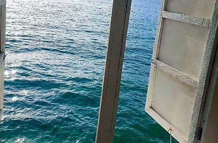 Mdf And Day Tours Near Whalesharks Oslob
