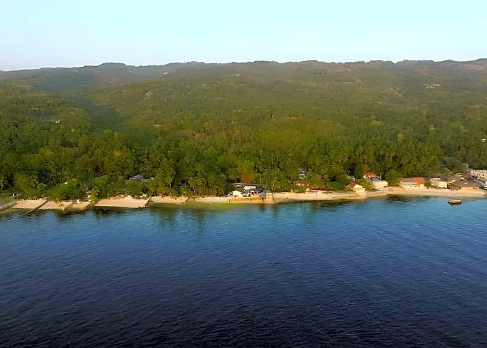 Mdf And Day Tours Near Whalesharks Oslob