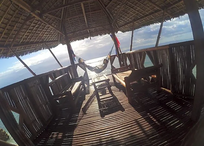 Mdf And Day Tours Near Whalesharks Hotel 2*